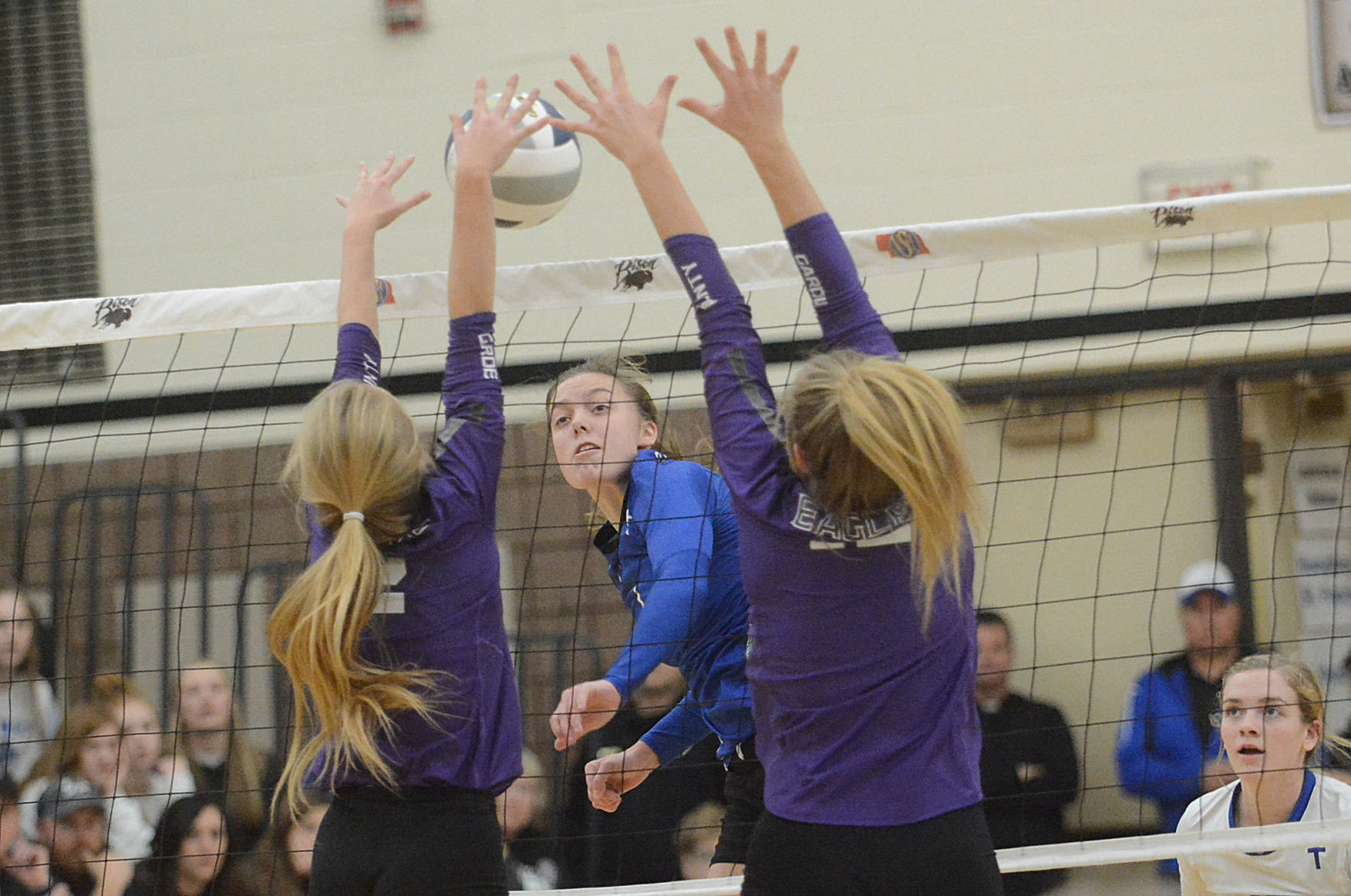 HSF Volleyball 11.8